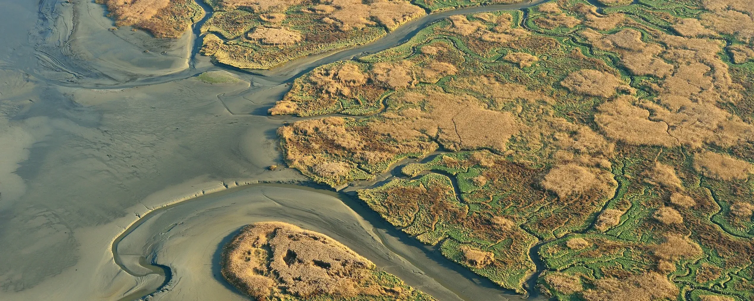 Luchtbeeld van het Verdronken Land van Saeftinghe