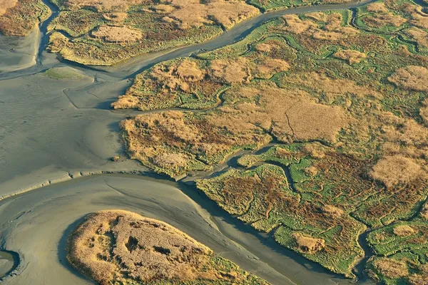 Luchtbeeld van het Verdronken Land van Saeftinghe