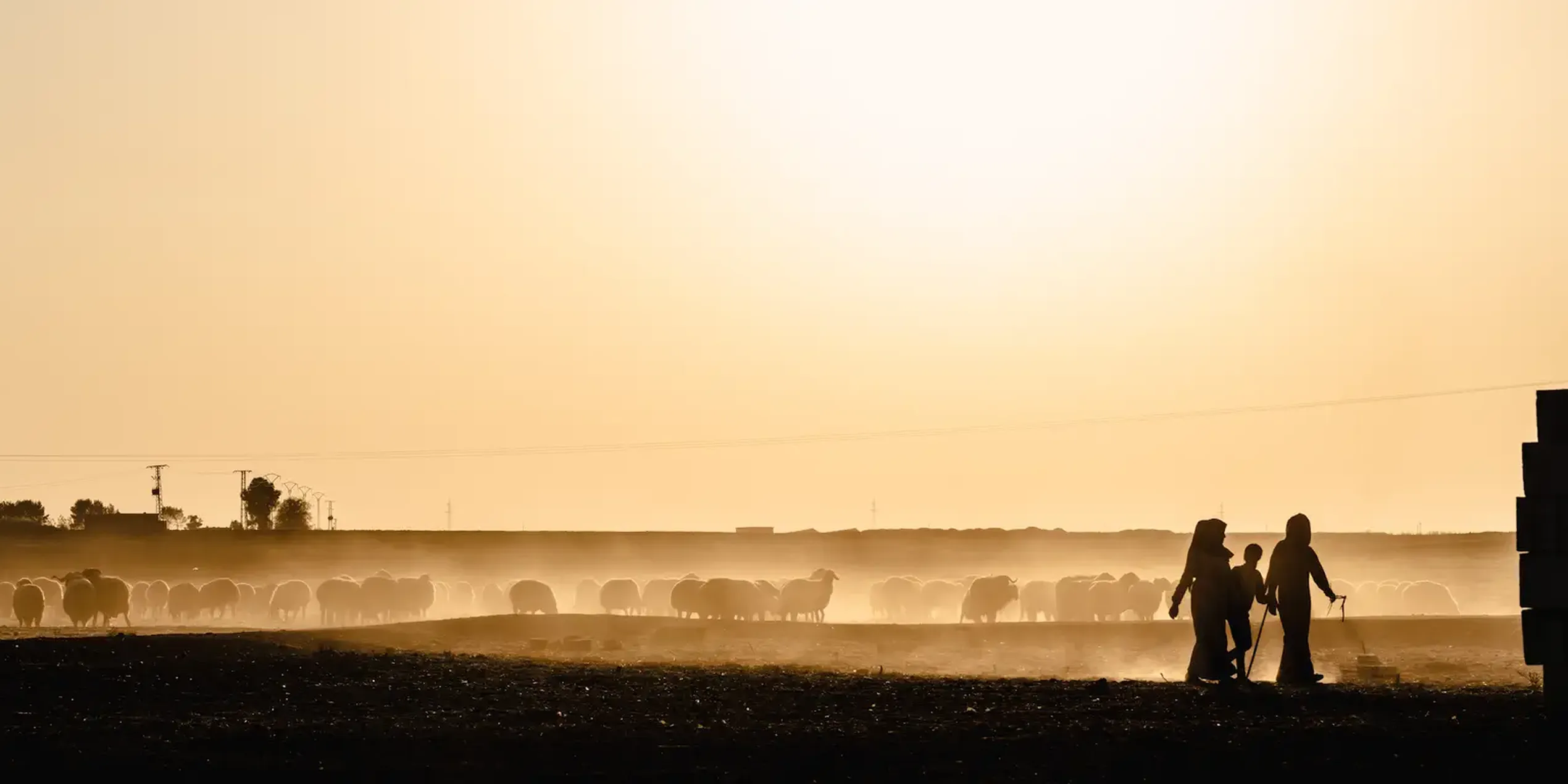 Beeld van het platteland rond de Koerdische stad Qamishlo