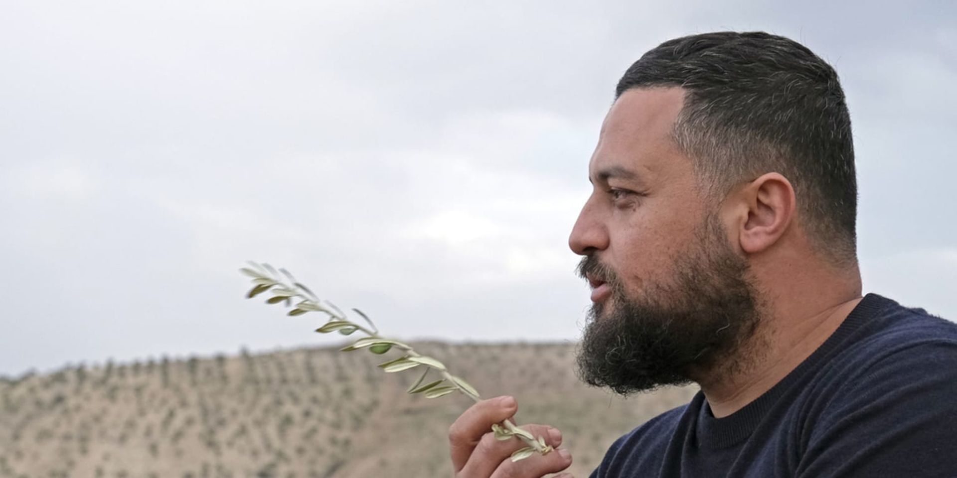 A man holding an olive branch gazes contemplatively towards the horizon, with a hilly landscape in the background.