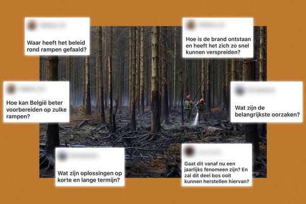 Belgische brandweermannen aan het werk in een bos in Waimes.