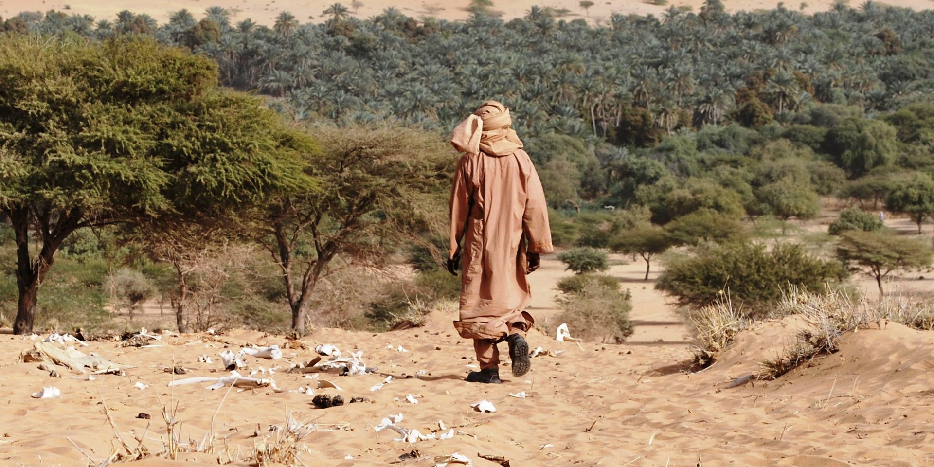 Sahel crisis