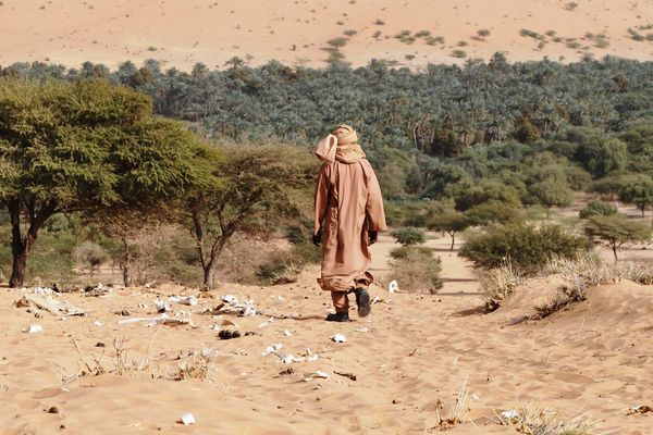 Sahel crisis