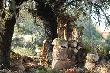 Ruins of an ancient stone wall covered in moss, nestled between dense trees in a sunlit forest setting.
