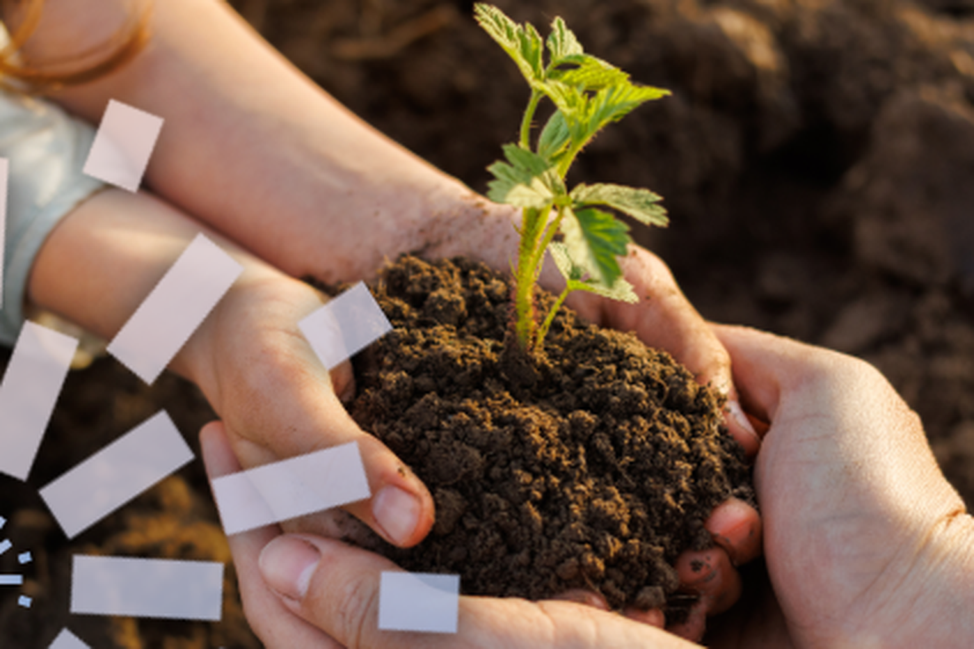 grondvoorrechtvaardigheid