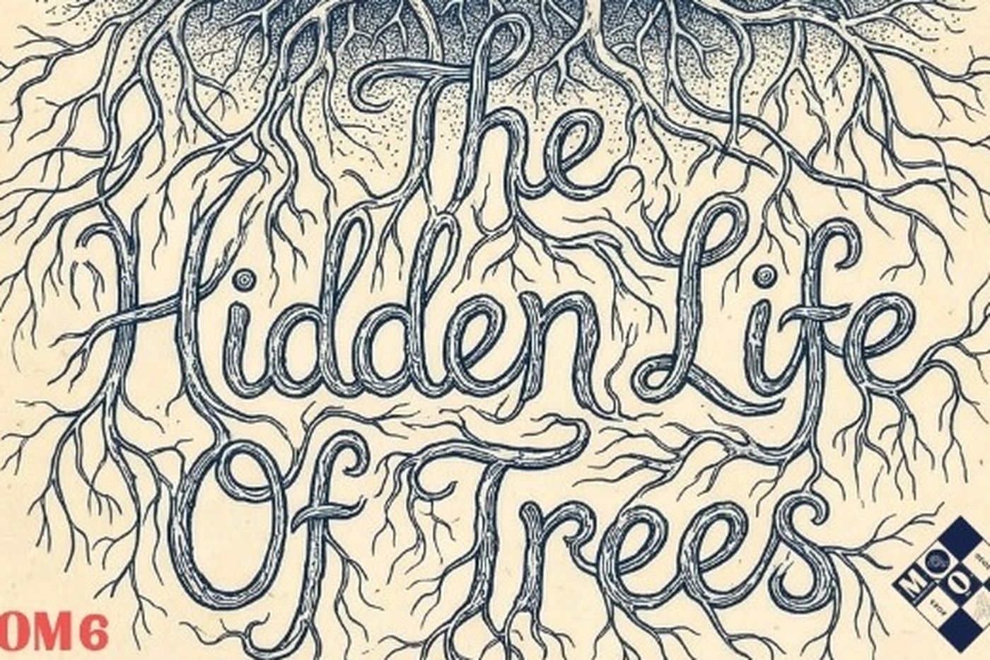 hiddenlifeoftrees