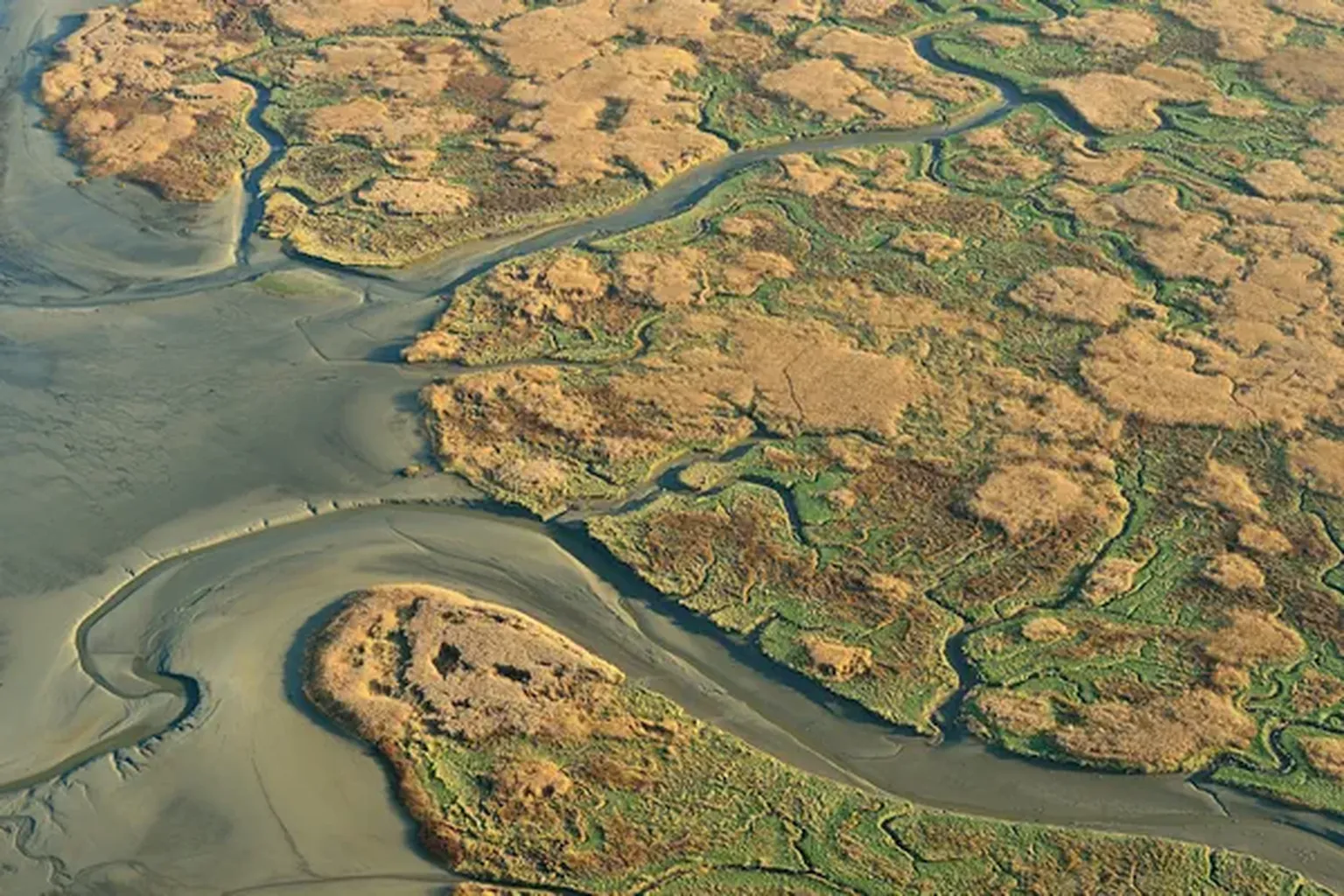 Luchtbeeld van het Verdronken Land van Saeftinghe