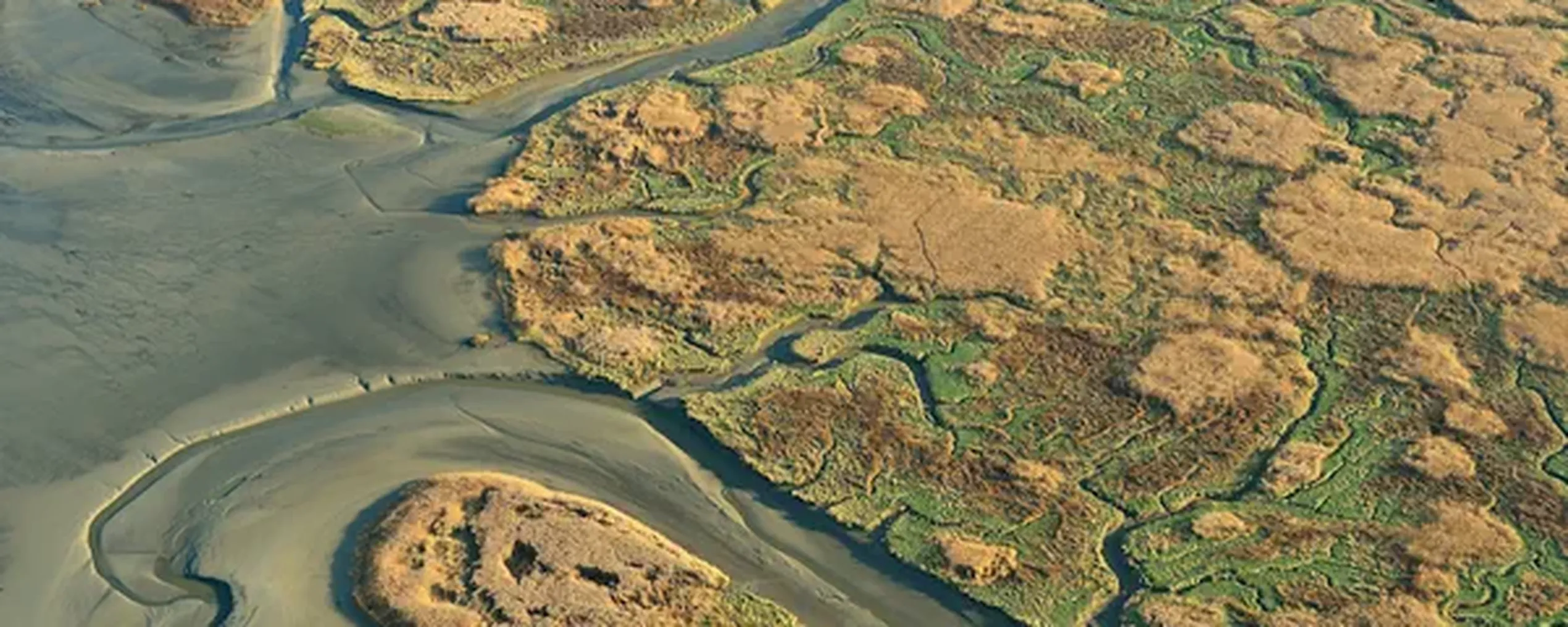 Luchtbeeld van het Verdronken Land van Saeftinghe