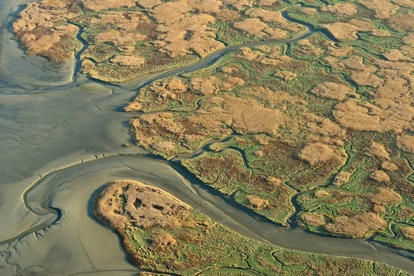 Luchtbeeld van het Verdronken Land van Saeftinghe