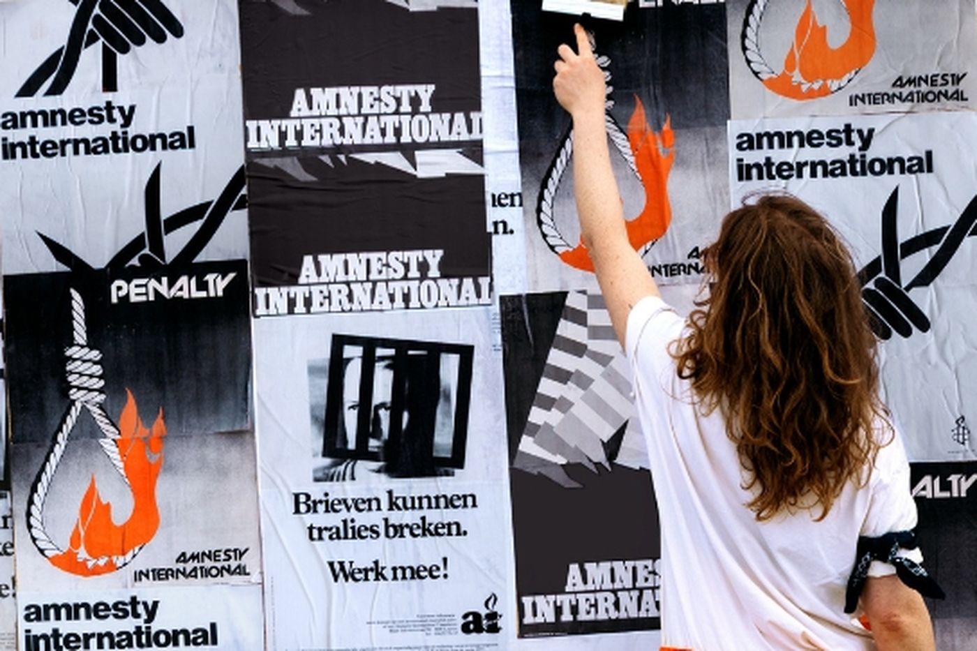 expo amnesty