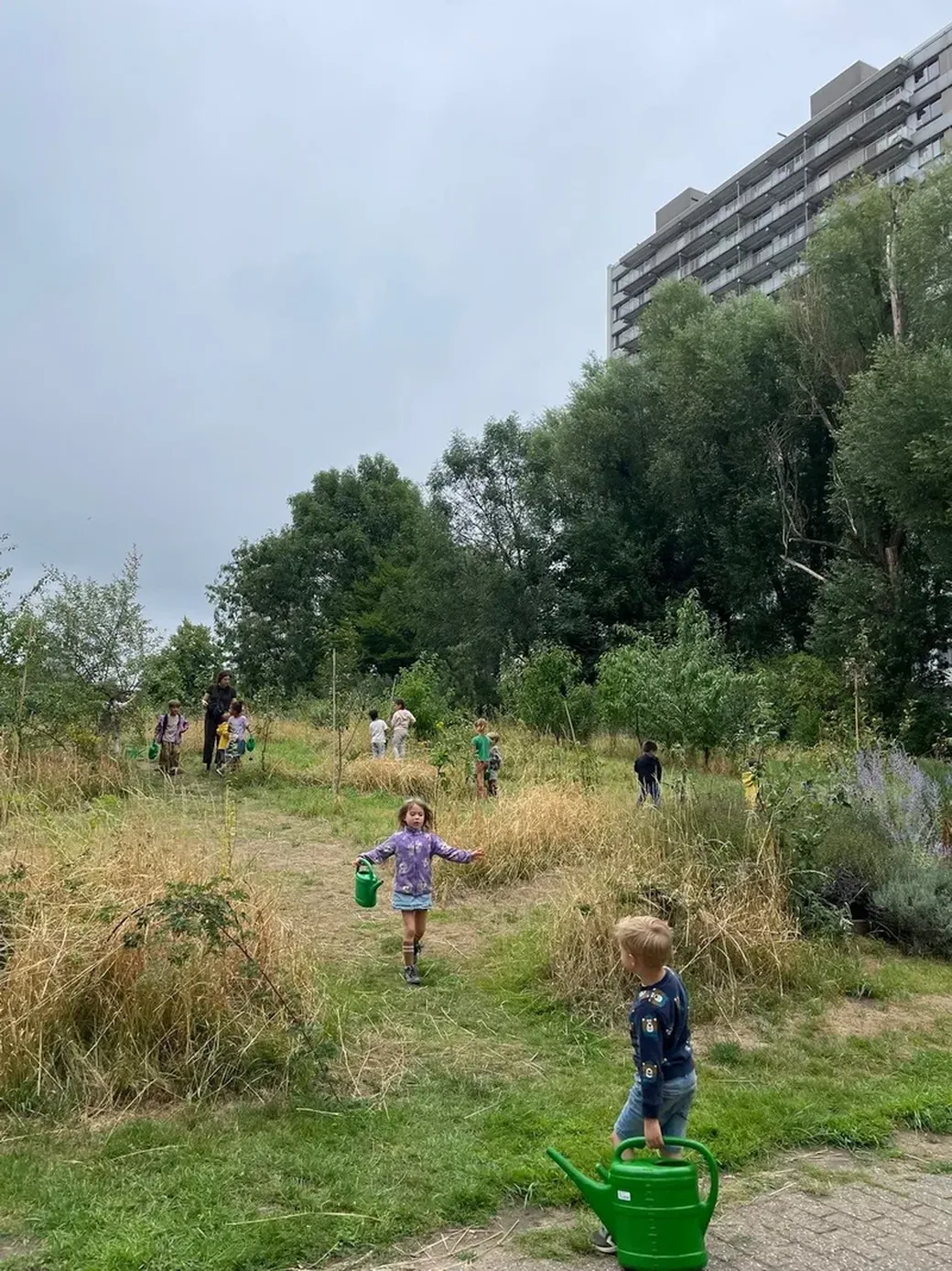 kinderen spelen op een “verwilderd” stuk grond voor een appartementsgebouw dat door ‘Plukgeluk’ bewust werd teruggegeven aan de natuur.