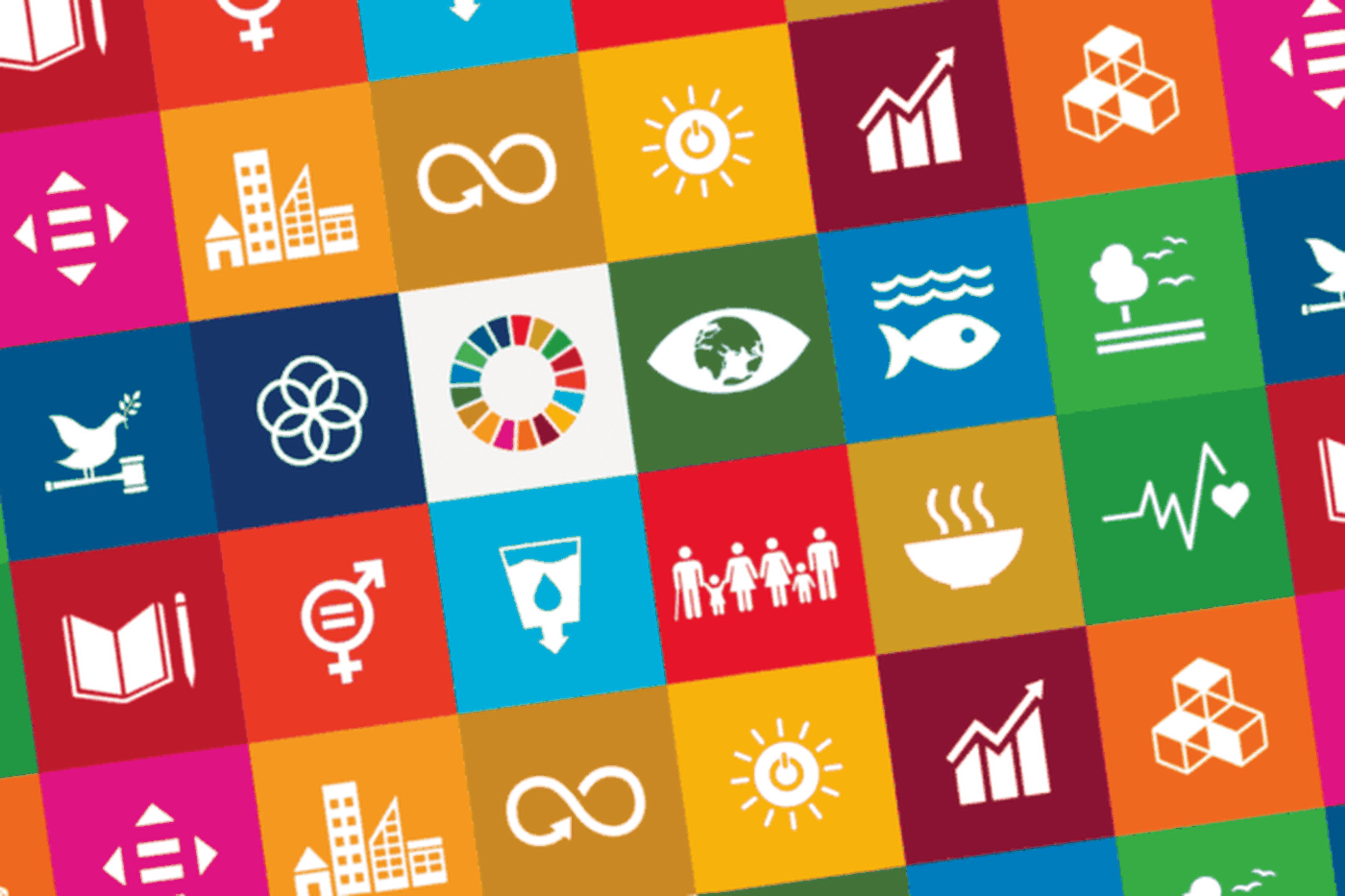 SDG Forum