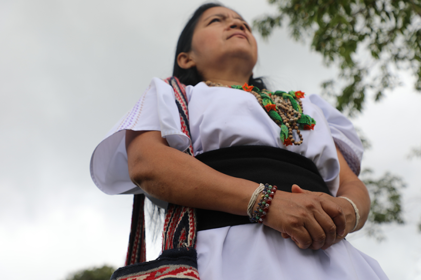 Rechten van de natuur
