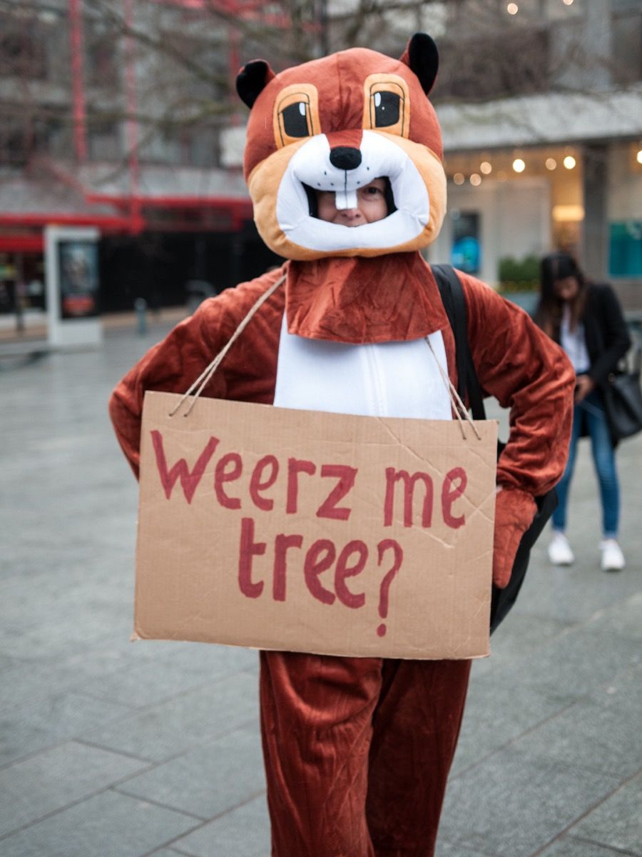 Person in a bear costume holding a cardboard sign with "Weerz me tree?" written on it, standing outdoors in an urban area.