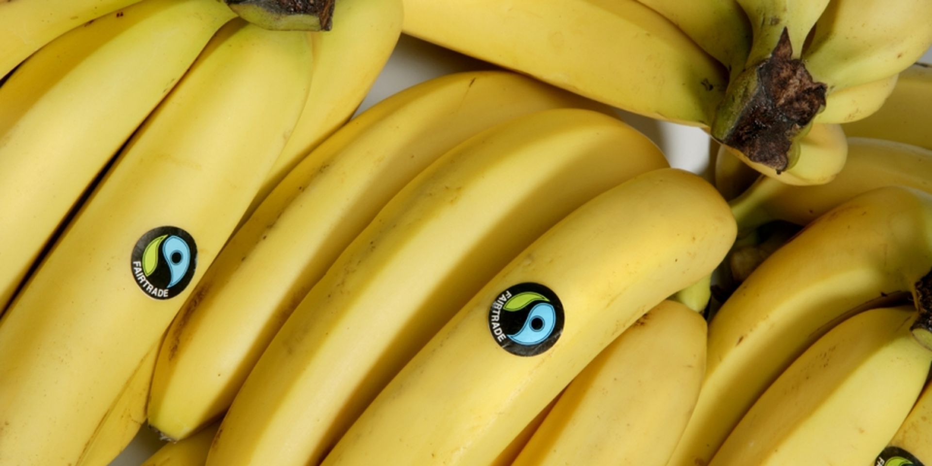fairtrade bananen
