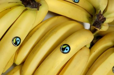 fairtrade bananen
