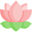 lotus icon