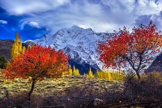 ฤดูใบไม้เปลี่ยนสีปากีสถาน