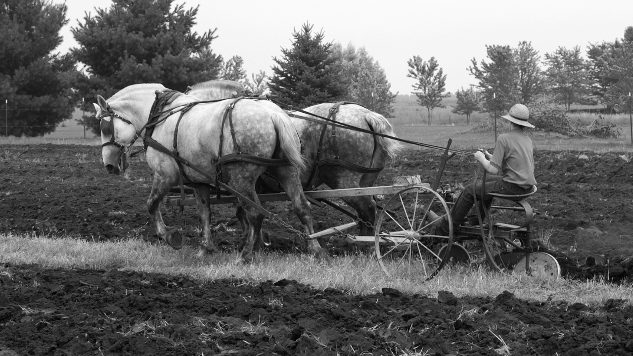 From stump jump to startup The one reason agtech adoption hasn’t