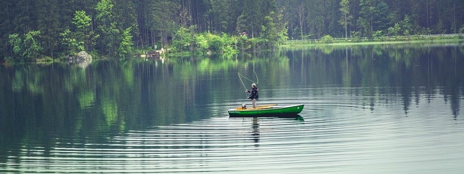 What fishing can teach you about the value of financial advice