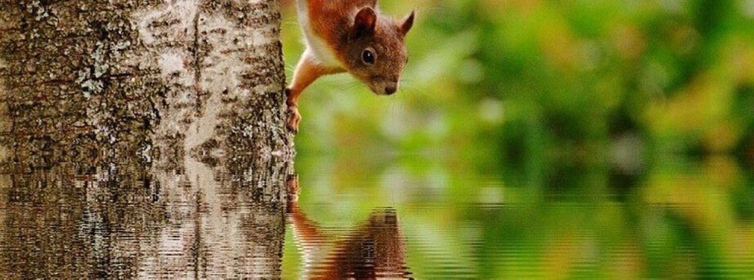 Investors can have unconscious bias