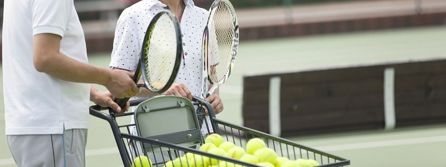 What is the cost of advice?