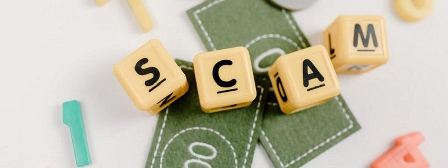 scam survey statistics