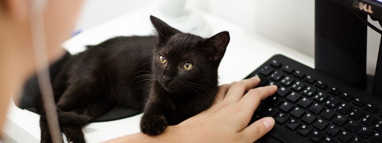 Contractors are taking out personal pensions