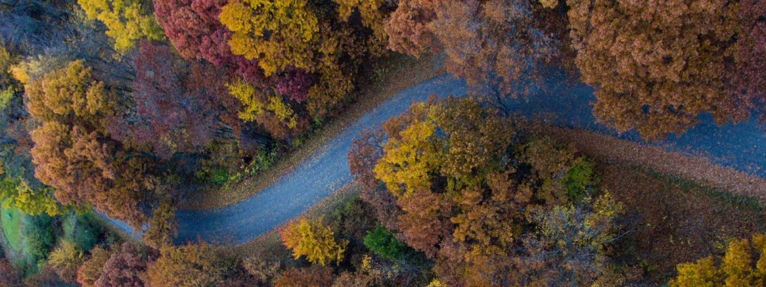 Trends to watch for financial advisers in 2022