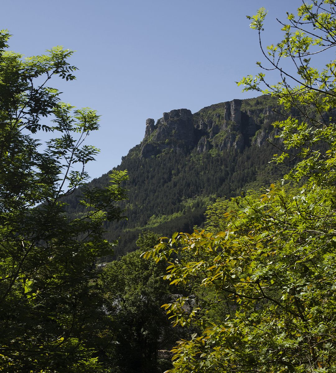 Sommet rocheux dominant une forêt verdoyante sous un ciel bleu | Atelier Tuffery