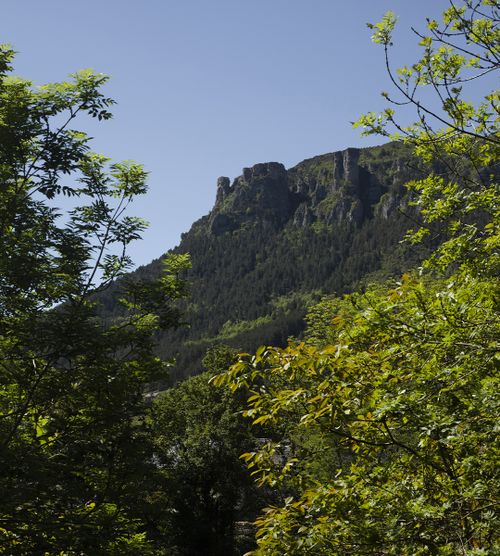 Sommet rocheux dominant une forêt verdoyante sous un ciel bleu - Atelier Tuffery
