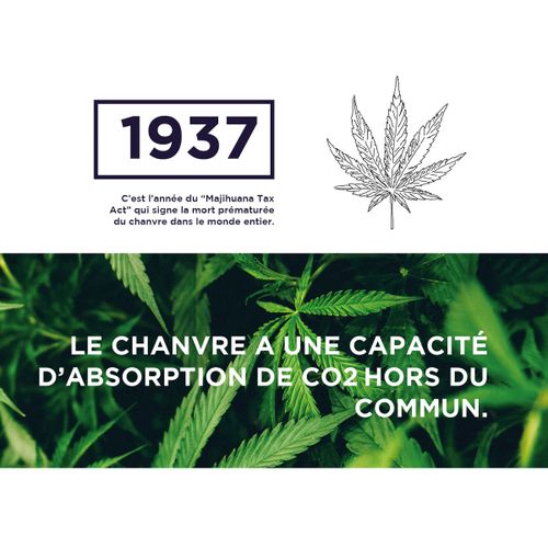 Infographie : 10 Bonnes raisons de choisir le chanvre - Atelier Tuffery