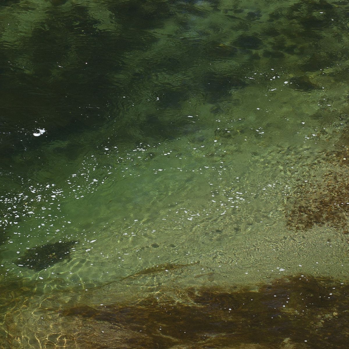 Surface claire et limpide de l’eau | Atelier Tuffery