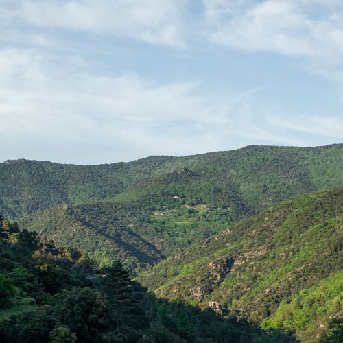 Vue panoramique sur les montagnes verdoyantes du massif cévenol - Atelier Tuffery