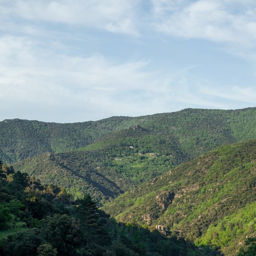 Vue panoramique sur les montagnes verdoyantes du massif cévenol - Atelier Tuffery