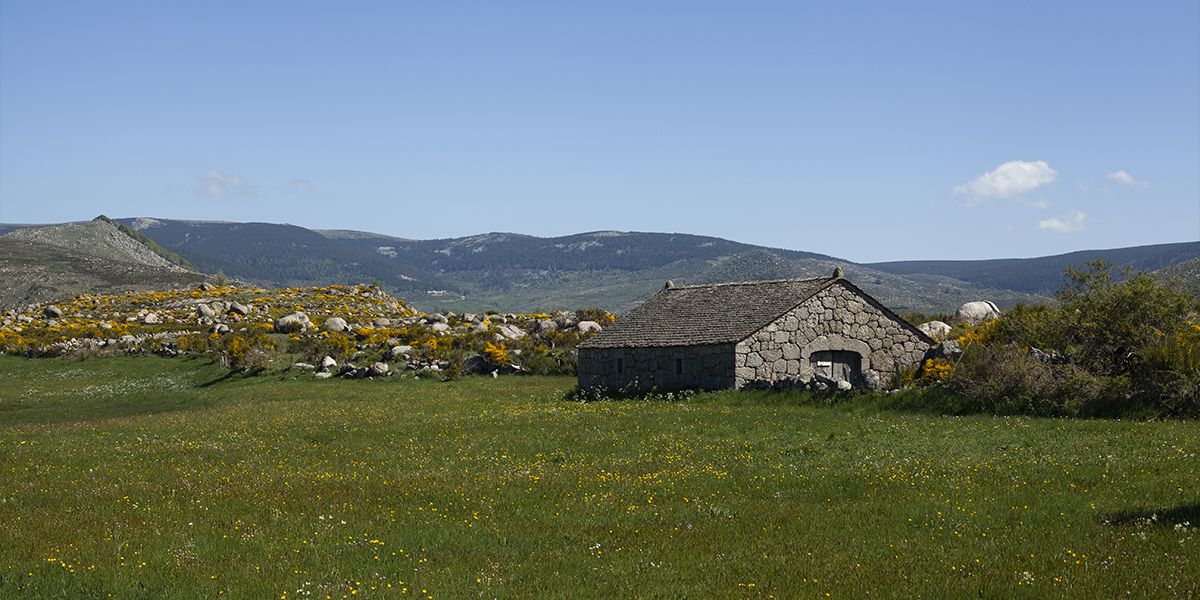 Petite bâtisse en pierre au cœur d’un plateau fleuri, montagnes en arrière-plan | Atelier Tuffery