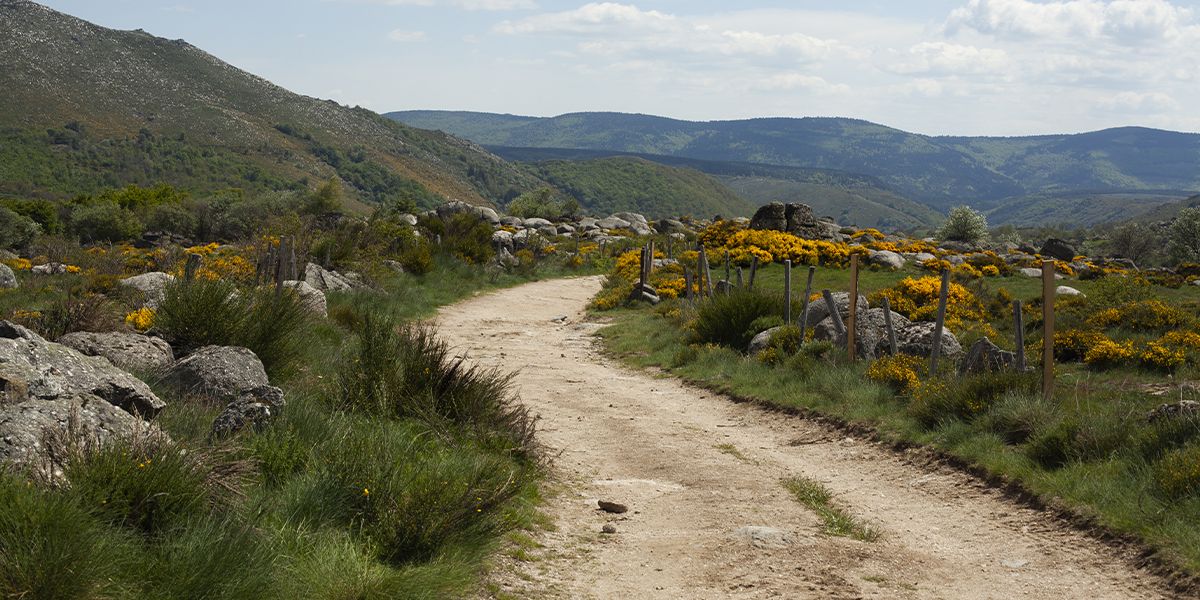 Sentier de randonnée pierreux serpentant à travers le Mont Lozère. | Atelier Tuffery