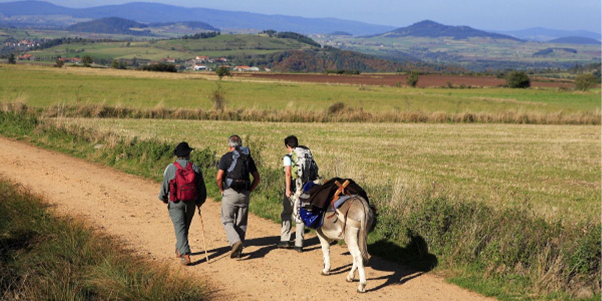 Trois marcheur·ses avec un âne sur une piste rouge du Velay, à travers champs et collines | Atelier Tuffery