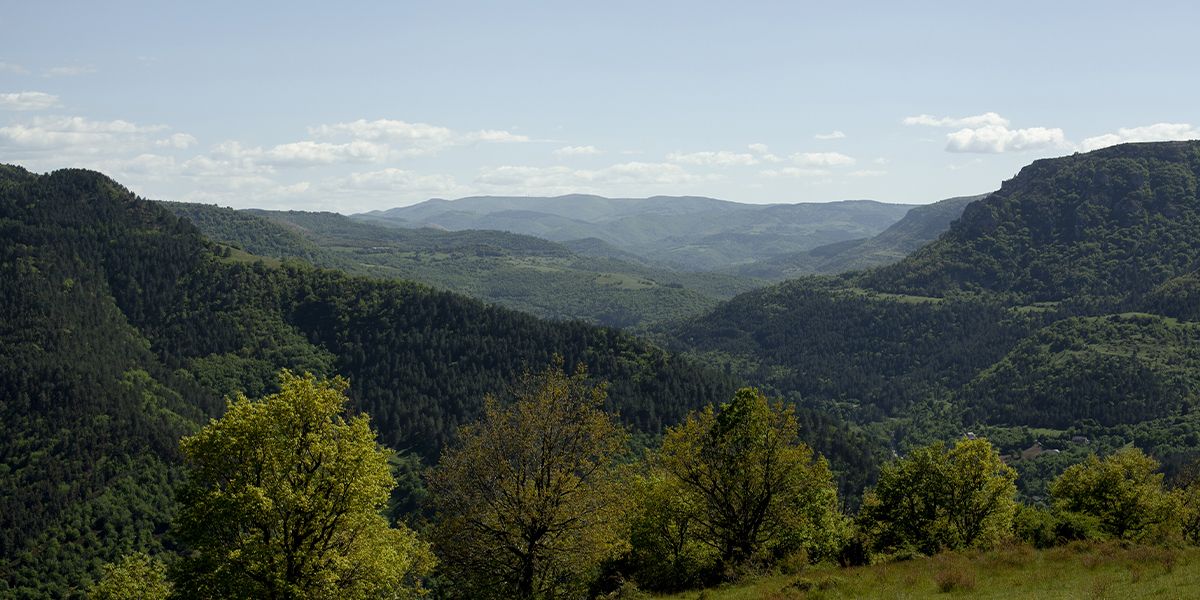 Vallées verdoyantes depuis les hauteurs | Atelier Tuffery