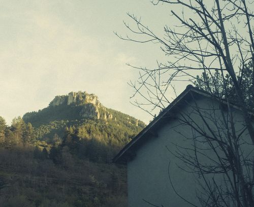 Paysage - Cévennes - Atelier Tuffery
