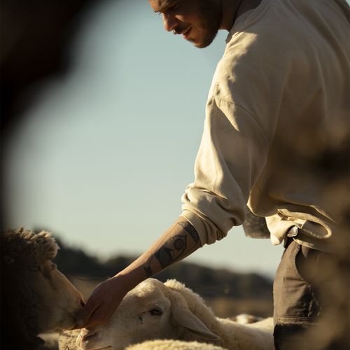 Jeune berger caressant une brebis, en gros plan, sous la lumière dorée du soir - Atelier Tuffery