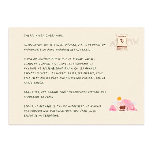 Verso d’une carte postale du Carnet d’été, avec un texte manuscrit sur le rôle des troupeaux et de l’agropastoralisme dans le paysage du Causse Méjean. - Atelier Tuffery