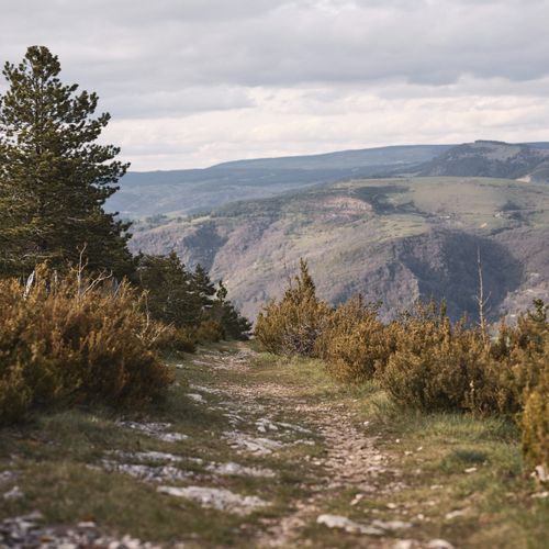 Paysage Cévennes - Atelier Tuffery