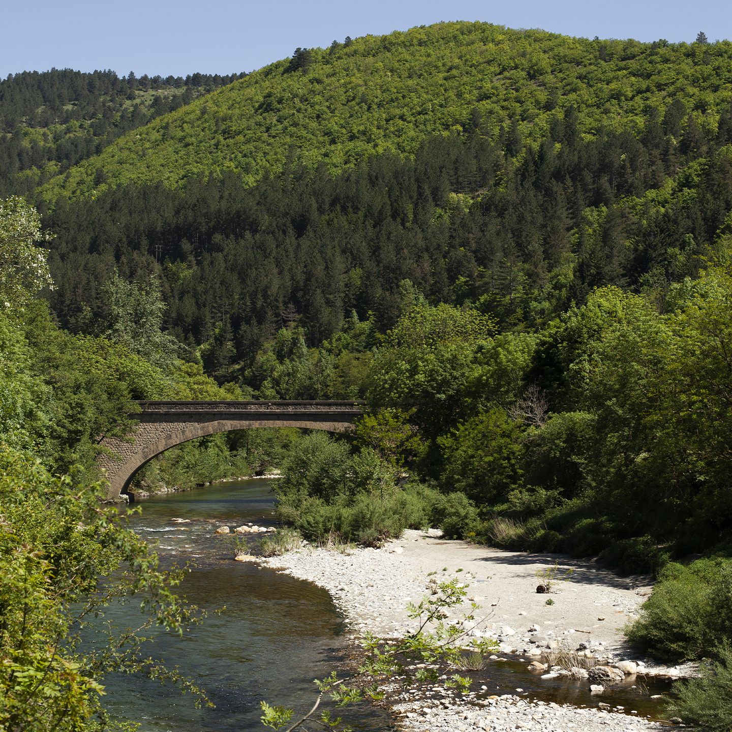 Pont ancien en pierre enjambant une rivière limpide dans un écrin de verdure cévenole | Atelier Tuffery