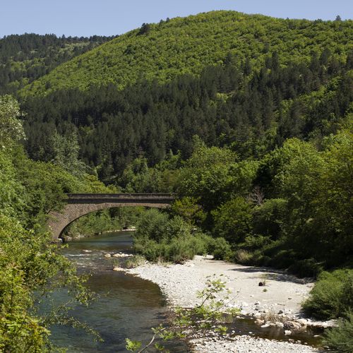 Pont ancien en pierre enjambant une rivière limpide dans un écrin de verdure cévenole - Atelier Tuffery