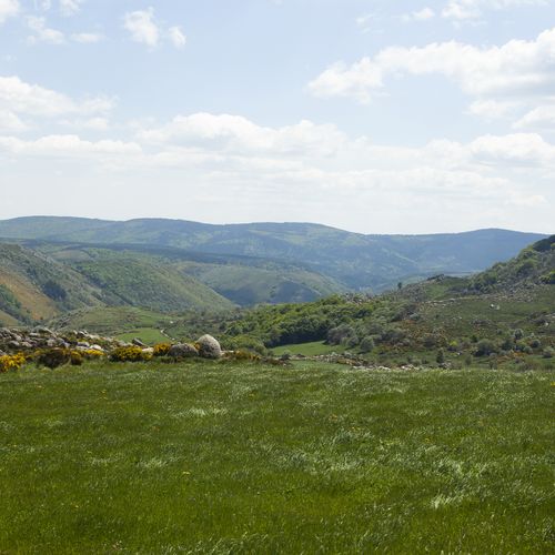 Vue panoramique sur les vallées du Mont Lozère, entre verdure et crêtes douces. - Atelier Tuffery