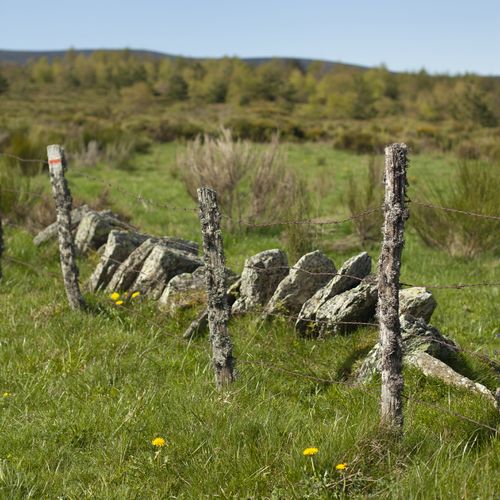Alignement de pierres dressées entre deux piquets de bois recouverts de mousse, dans un paysage rural - Atelier Tuffery