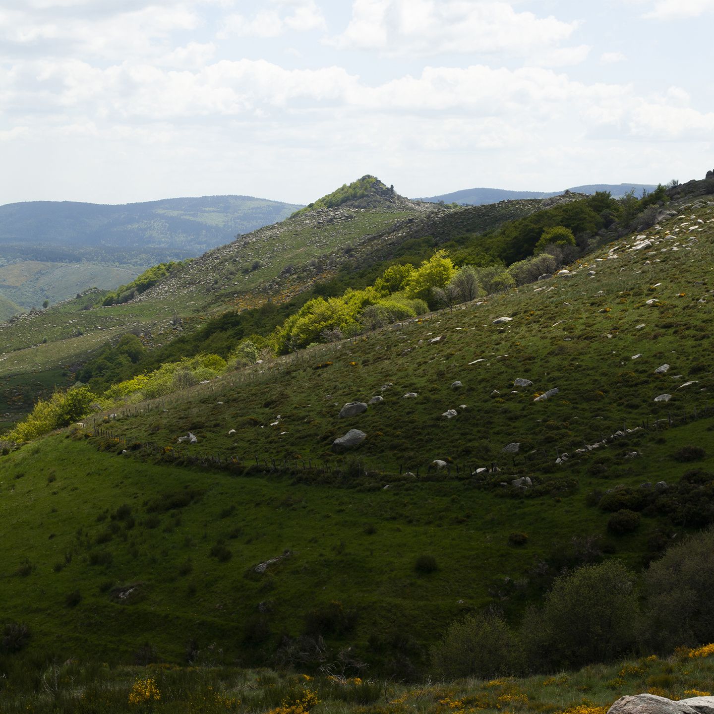 Paysage vallonné avec collines verdoyantes, blocs de pierre et lumière changeante sur les pentes du Mont Lozère | Atelier Tuffery