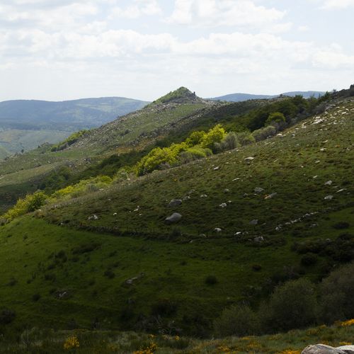 Paysage vallonné avec collines verdoyantes, blocs de pierre et lumière changeante sur les pentes du Mont Lozère - Atelier Tuffery