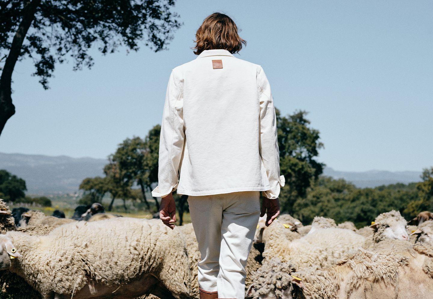 Homme portant une tenue claire, vu de dos au milieu d’un troupeau de brebis. | Atelier Tuffery
